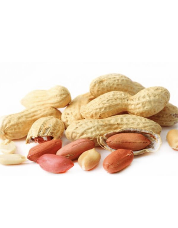 Cacahuètes Rouges  Baldia - بلديّة -